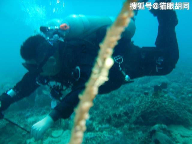 春联的起源与谁有关？